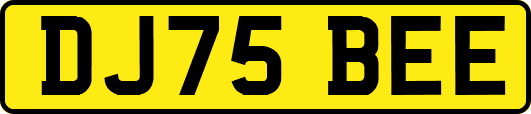 DJ75BEE