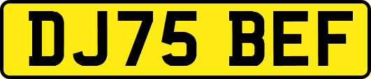 DJ75BEF