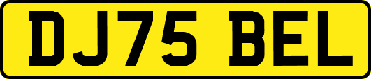 DJ75BEL