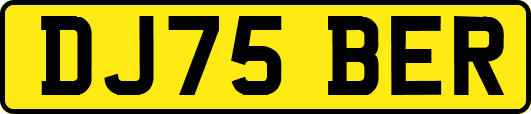 DJ75BER