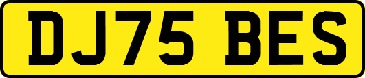 DJ75BES