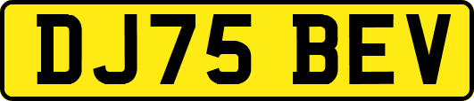DJ75BEV