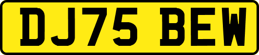 DJ75BEW