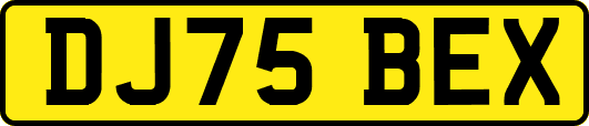 DJ75BEX