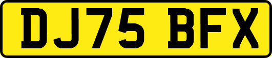 DJ75BFX