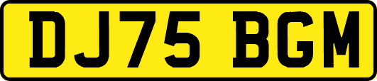 DJ75BGM