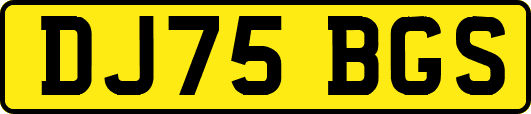 DJ75BGS
