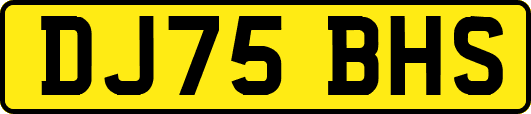 DJ75BHS