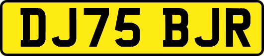DJ75BJR
