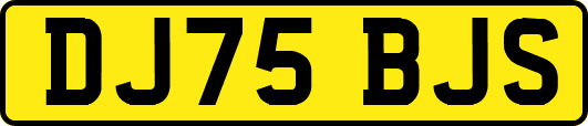 DJ75BJS
