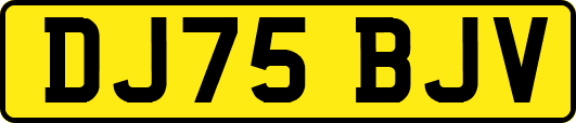 DJ75BJV