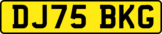 DJ75BKG