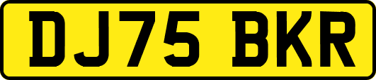 DJ75BKR