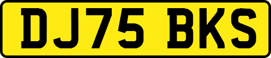 DJ75BKS