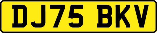 DJ75BKV