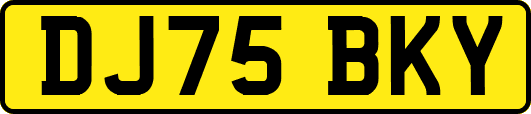 DJ75BKY