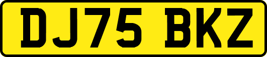 DJ75BKZ