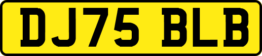 DJ75BLB