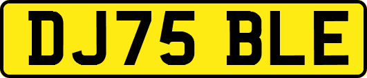 DJ75BLE