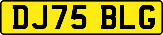 DJ75BLG