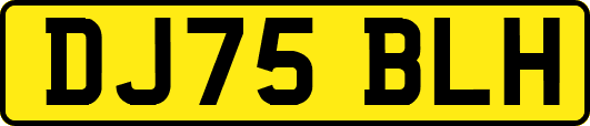 DJ75BLH