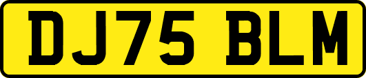 DJ75BLM