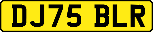 DJ75BLR