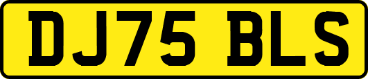 DJ75BLS