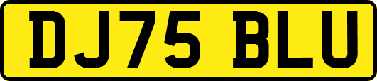 DJ75BLU