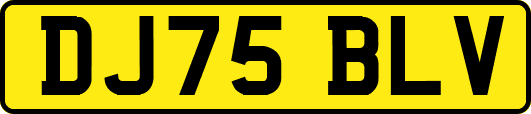 DJ75BLV