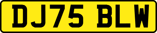 DJ75BLW