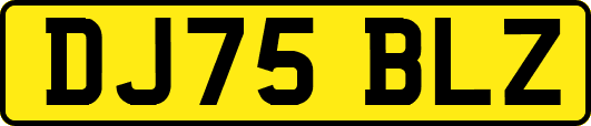 DJ75BLZ