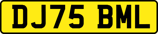 DJ75BML