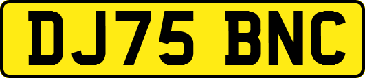 DJ75BNC