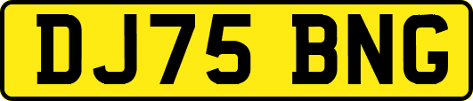 DJ75BNG