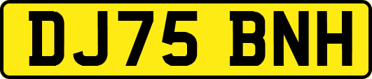 DJ75BNH