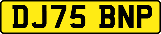 DJ75BNP