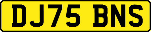 DJ75BNS