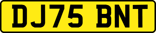 DJ75BNT