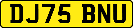 DJ75BNU