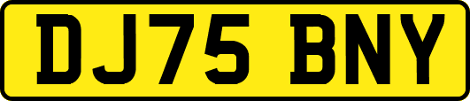 DJ75BNY