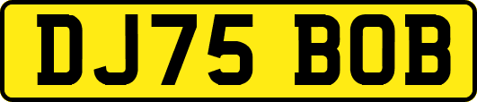 DJ75BOB
