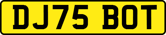 DJ75BOT
