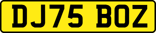 DJ75BOZ