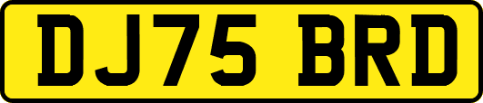 DJ75BRD