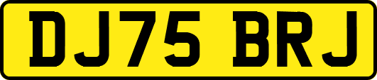 DJ75BRJ