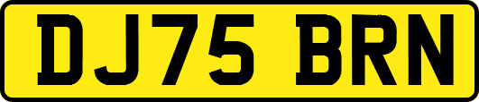 DJ75BRN
