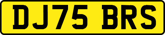 DJ75BRS