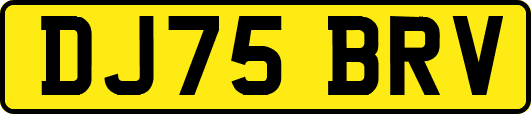 DJ75BRV