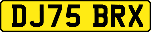 DJ75BRX